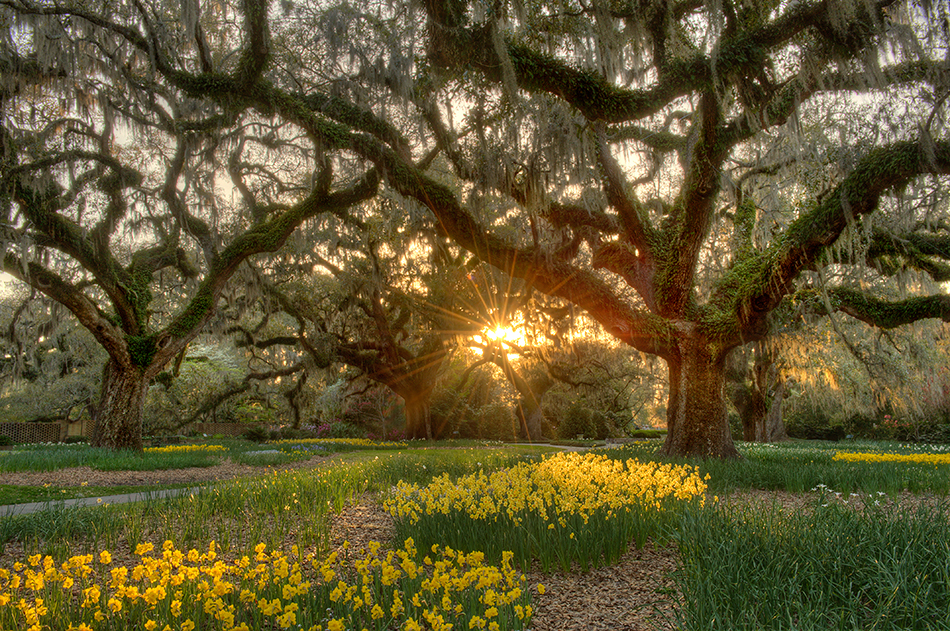 Brookgreen Gardens Lowcountry Zoo A