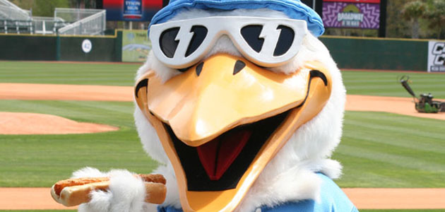 Myrtle Beach Pelicans Offer Baseball, Family Fun - North Beach
