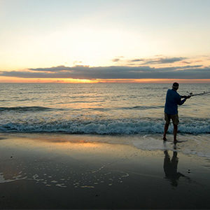 Surfcasting Tips for Beginners NZ - Tackle, baits, & how to catch