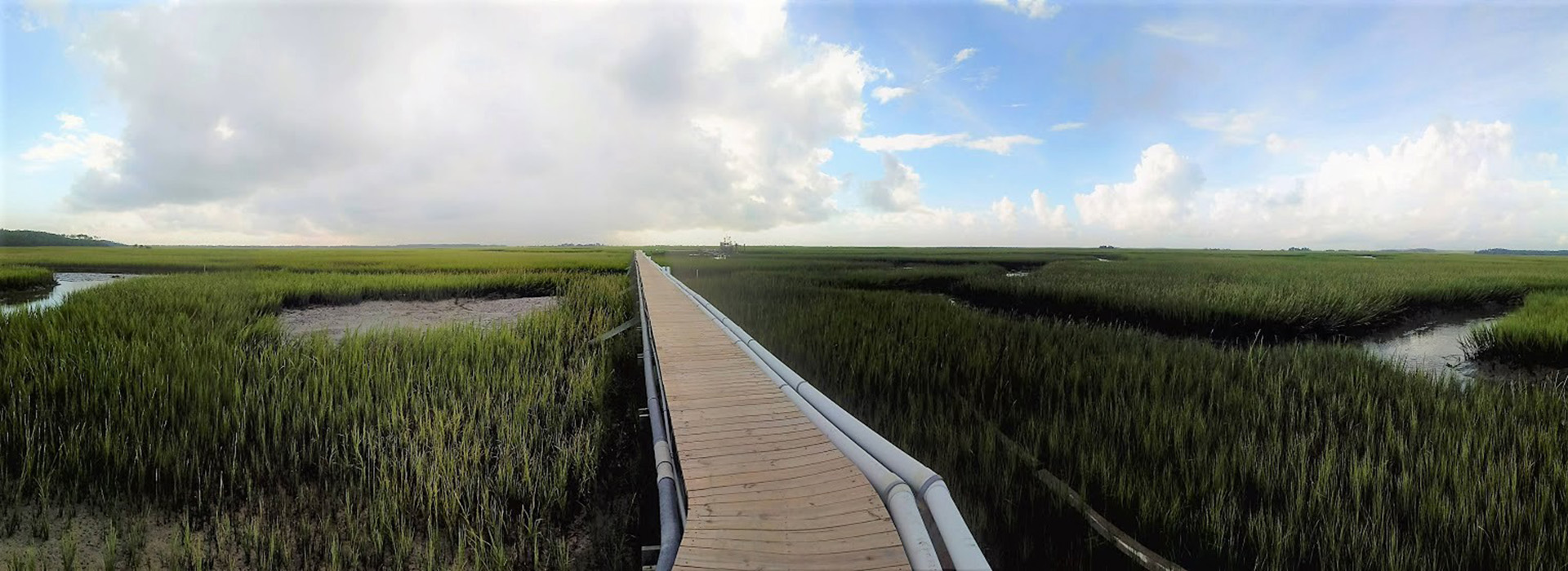 Overview of the Marsh walk