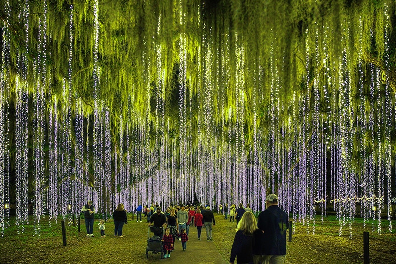 Vibrant art installation at Great South Bay Festival 2026