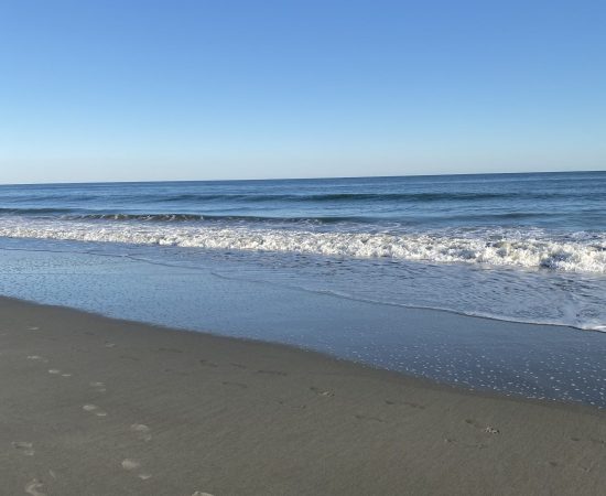 peaceful beach and ocean