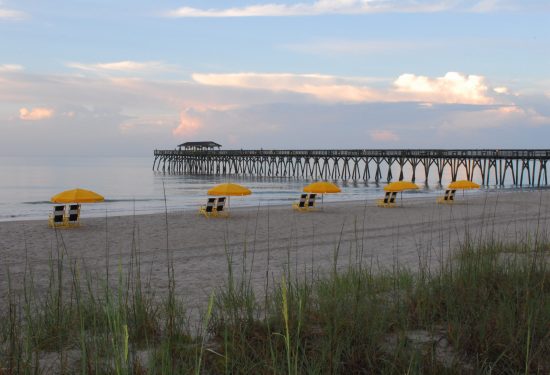 Myrtle Beach State Park Myrtle Beach State Park
